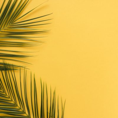 horario nuevo verano