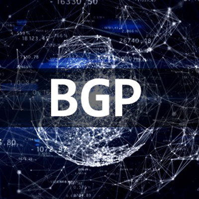 BGP Dual Homing